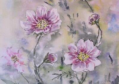 Cosmos